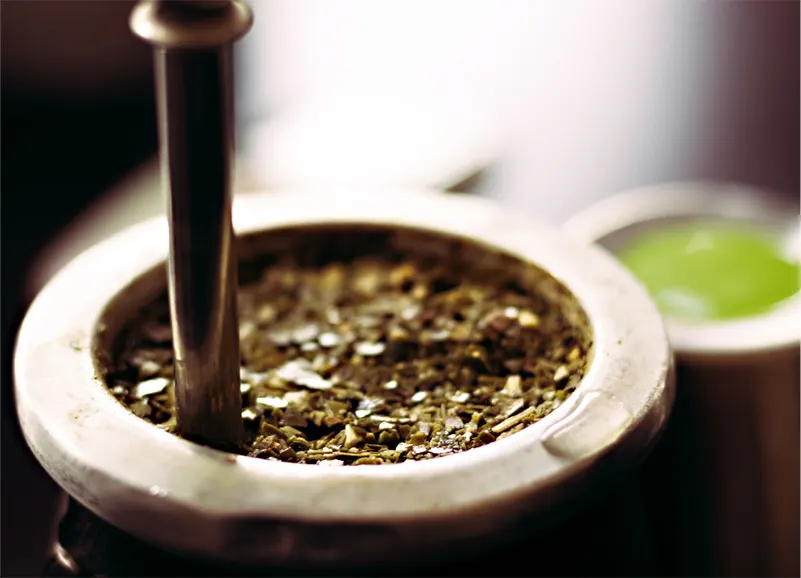 Herbal Therapy