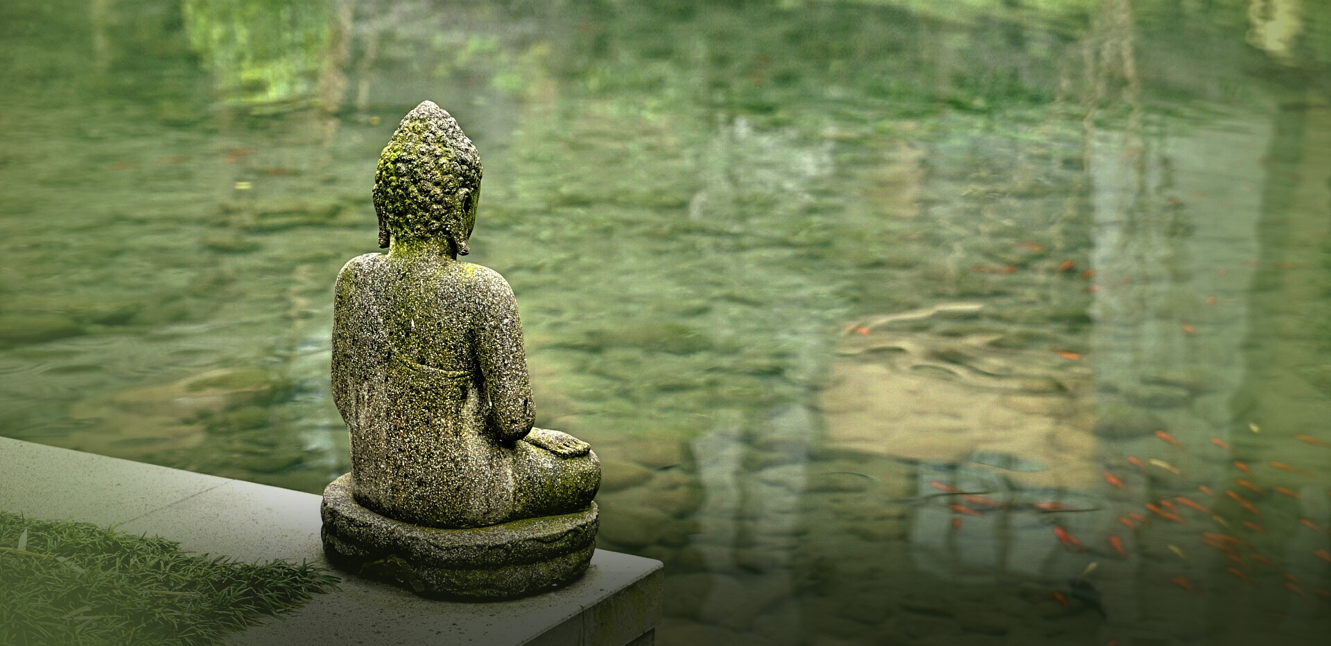ātmaneem - Naturopathy Centre in Gujarat, India | Nature Cure Resort
